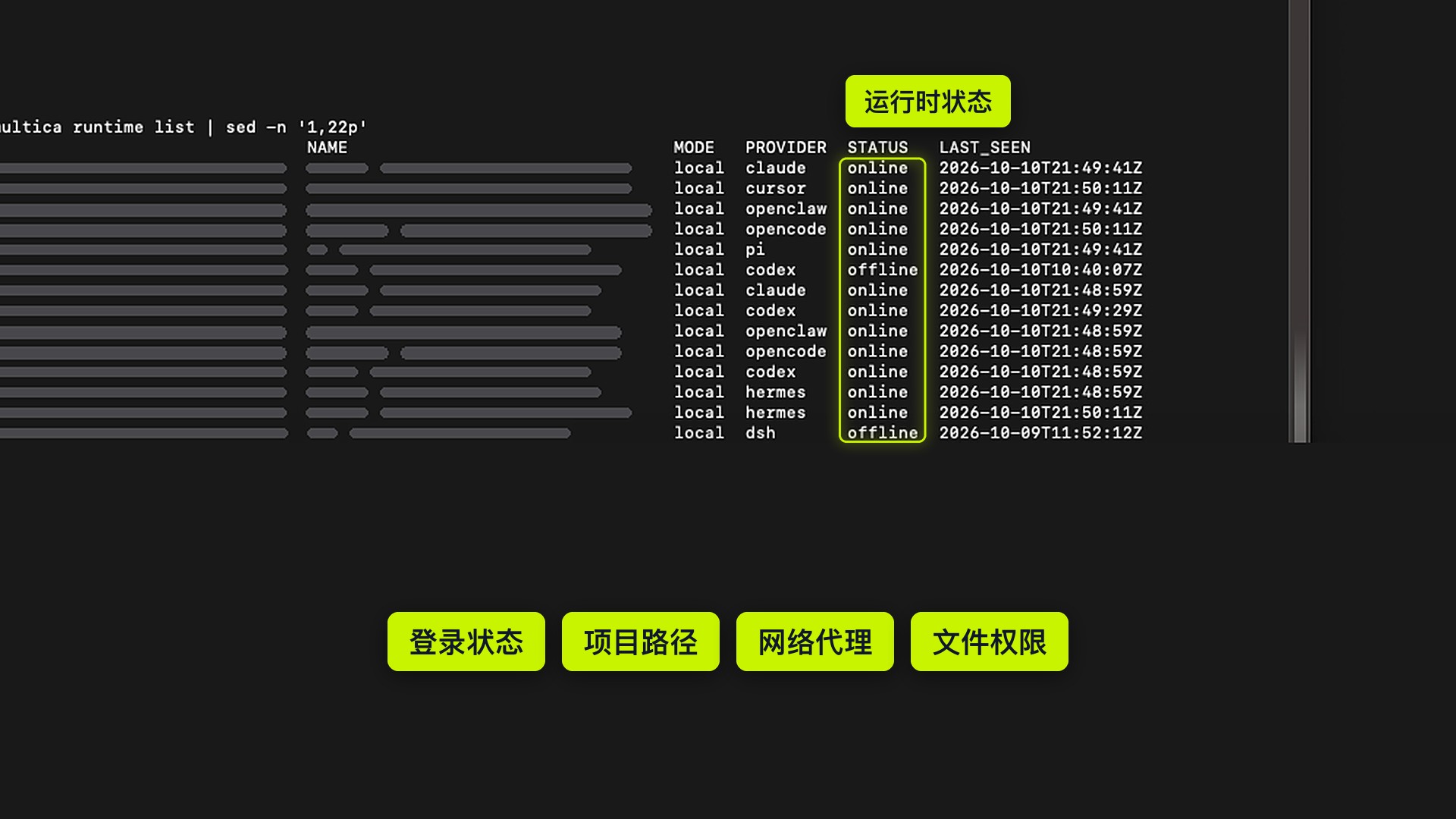 runtime list 的 STATUS 列，展示在线与离线运行端